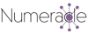 Numeracle Logo Purple Spoke
