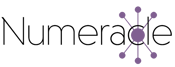 Numeracle Logo Purple Spoke